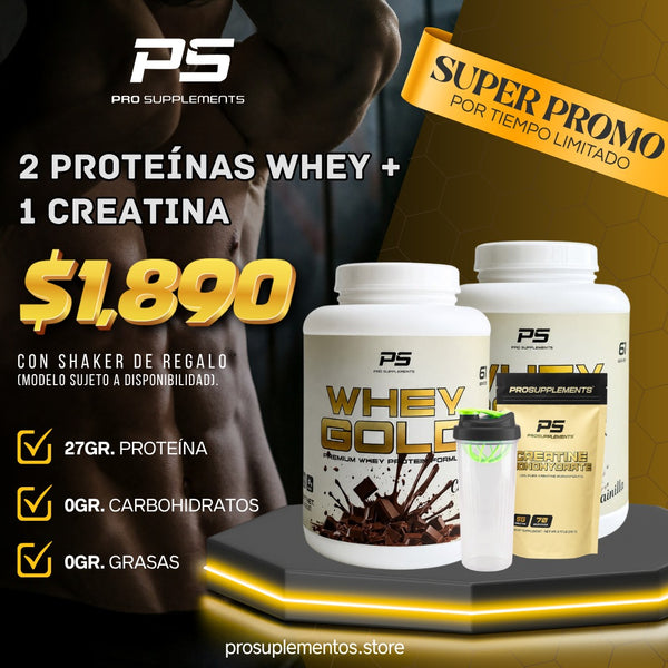 PROTEIN PUNCH